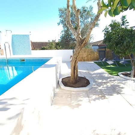 מלון אראיולוס Casa Do Castelo מראה חיצוני תמונה